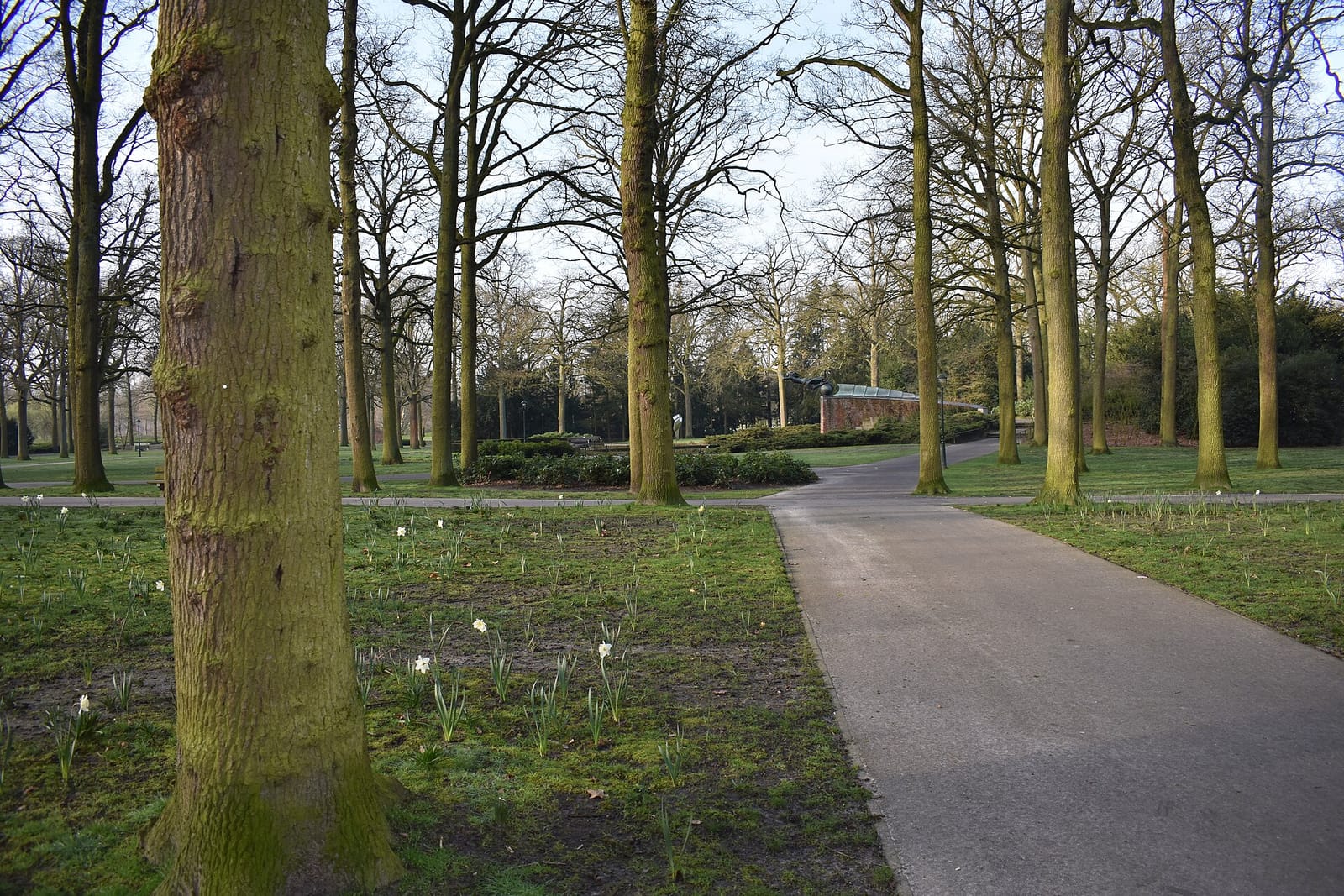 Stadspaviljoen photo 3