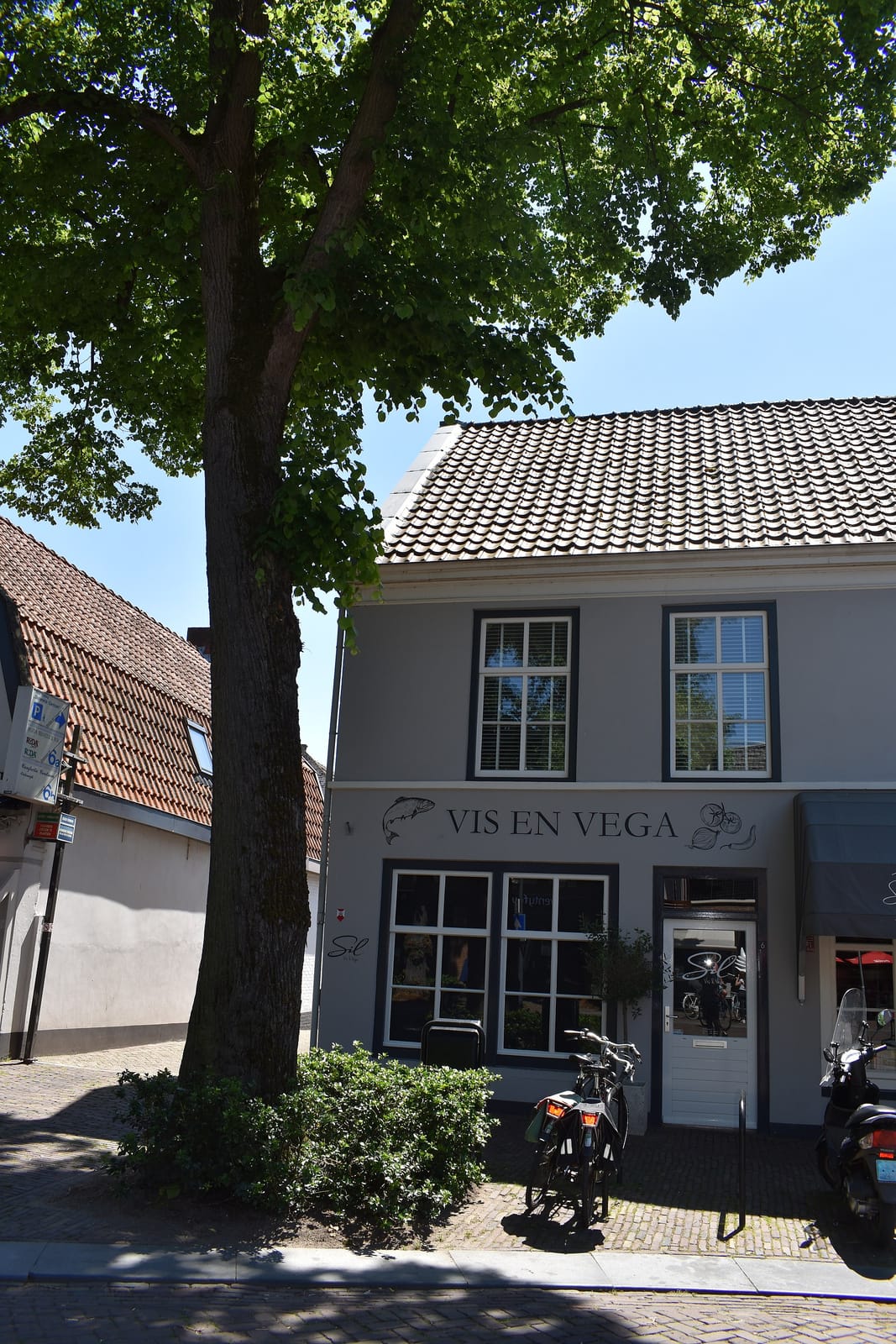 Willeke den Draaier photo 4