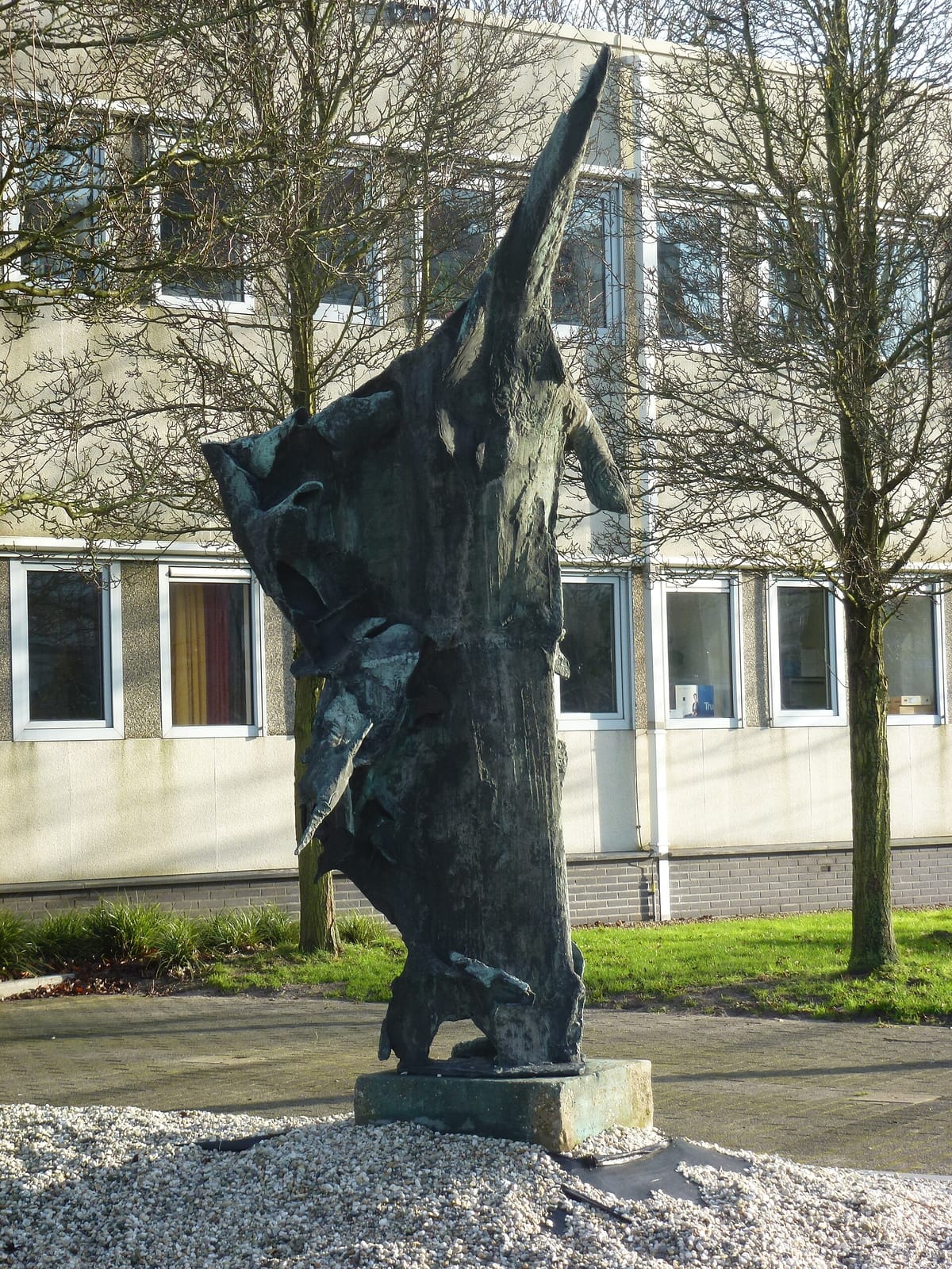 Meteor photo 3
