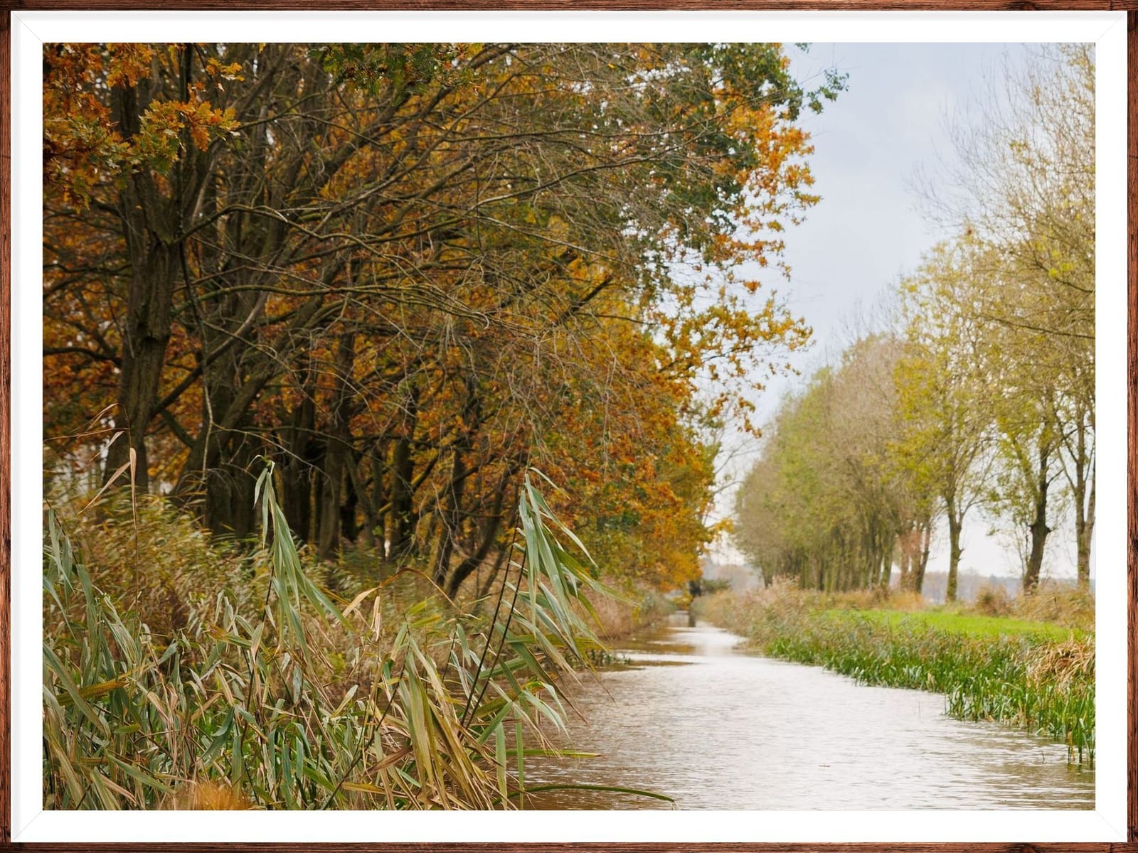 Woeste Polder photo 3