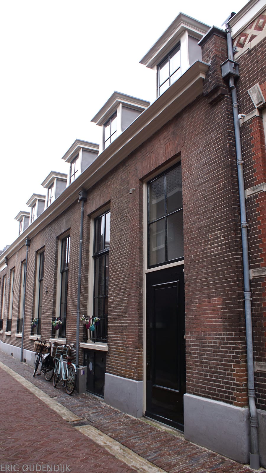 Jansje photo 2