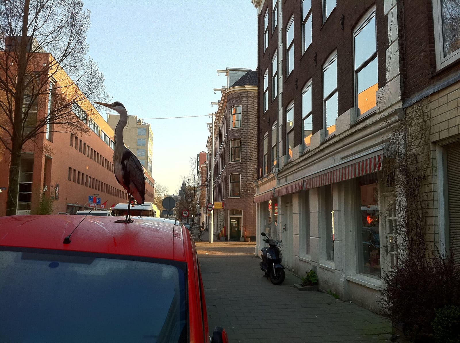 De Wasserette photo 3