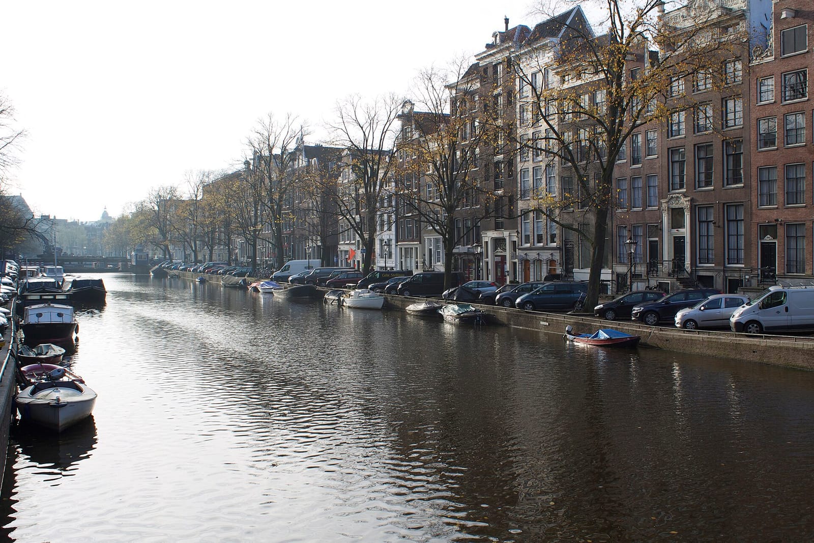 Cafe Het Paleis photo 5