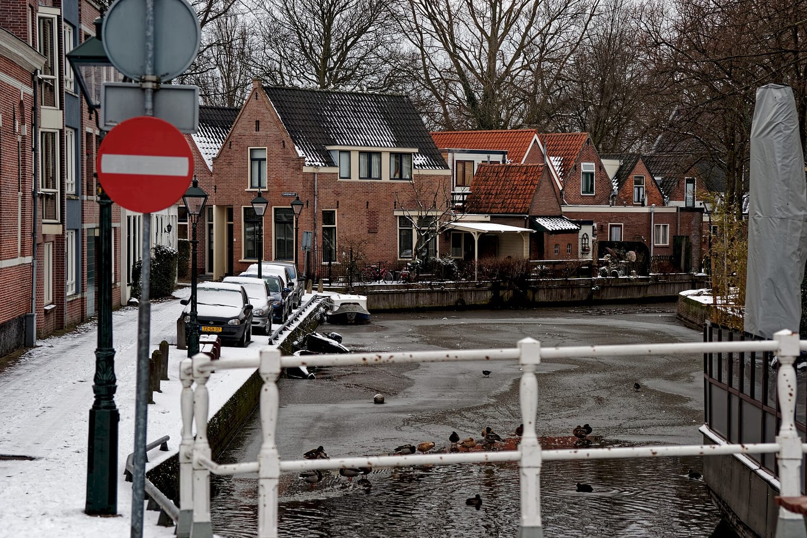 DigiBeet en Katten Café photo 3