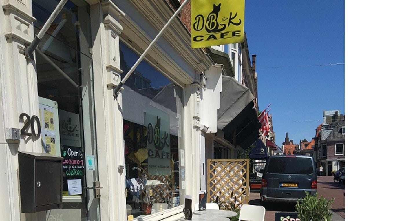 DigiBeet en Katten Café