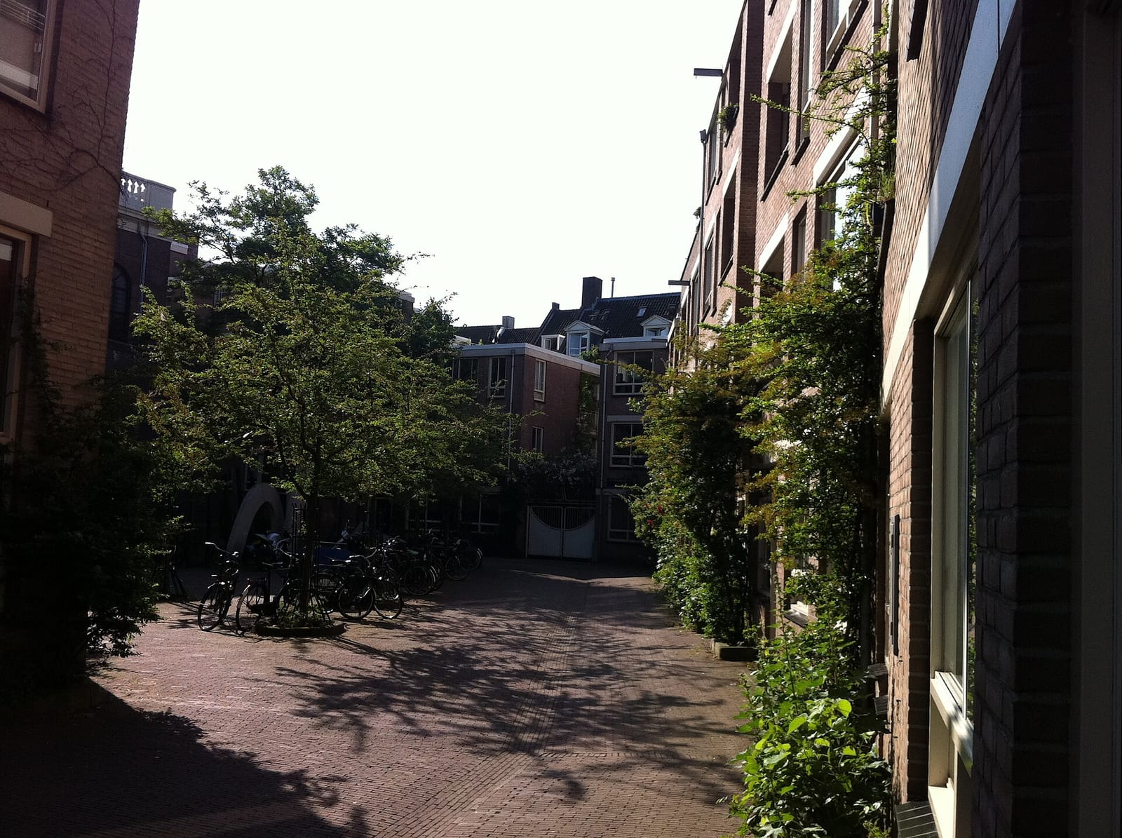 Museum Cafe photo 3