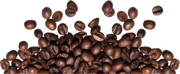 Bagels & Beans photo 2