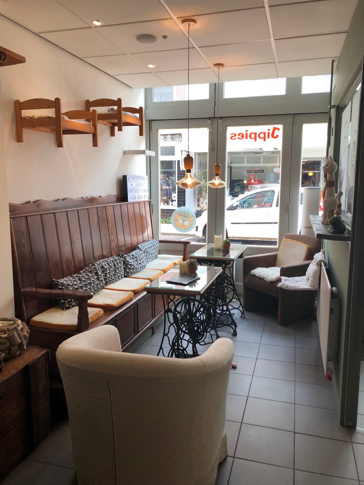 Jippies kattencafe
