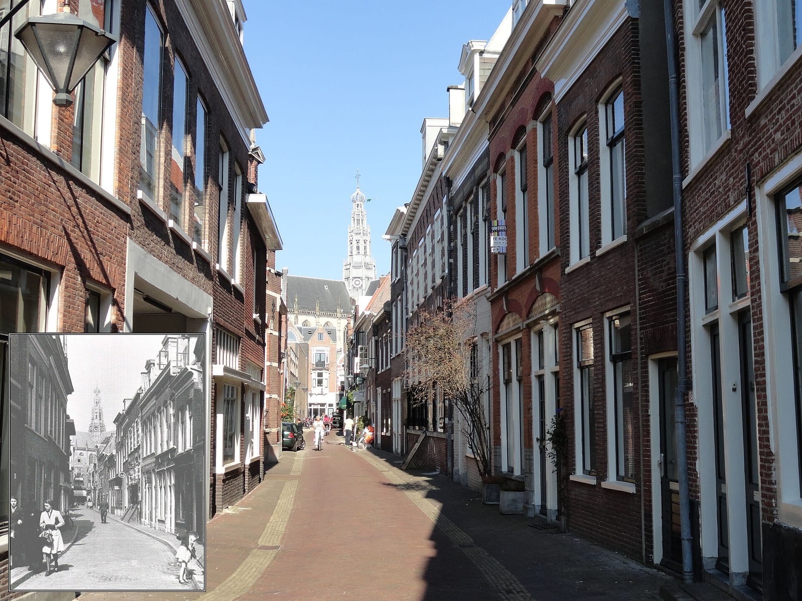 Meneer Frans photo 2