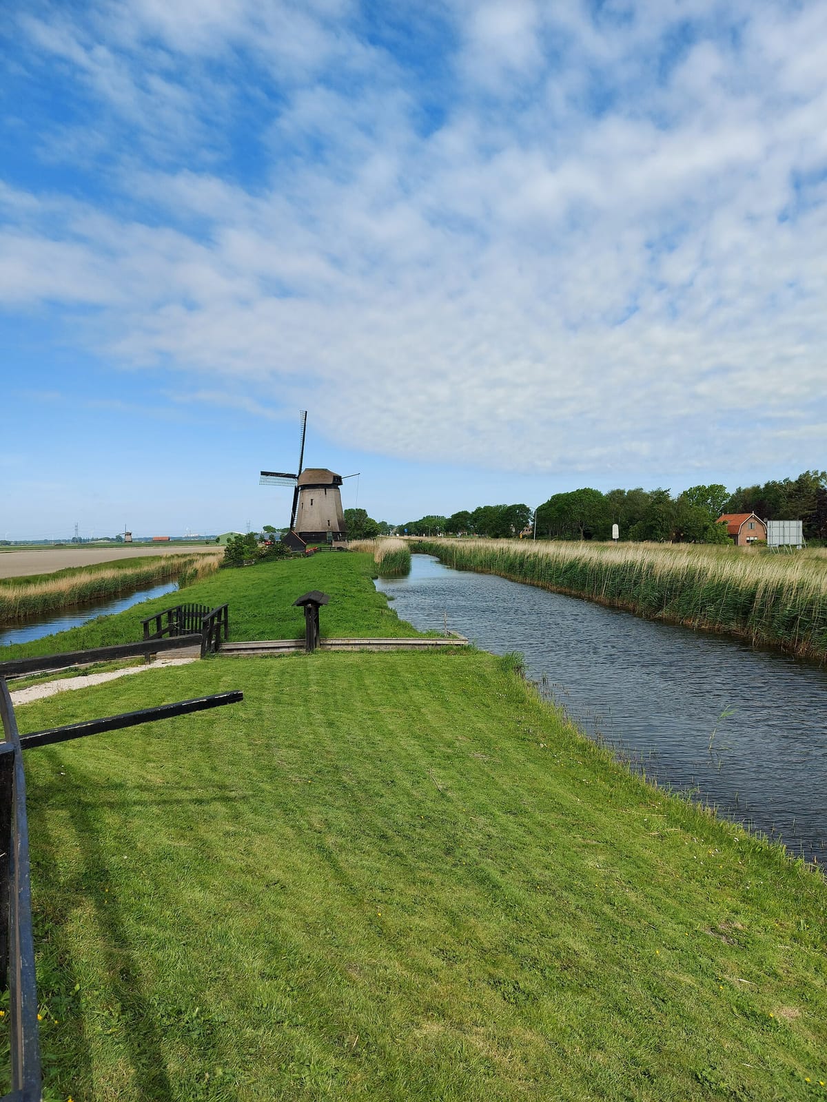 Rustpunt De Museummolen