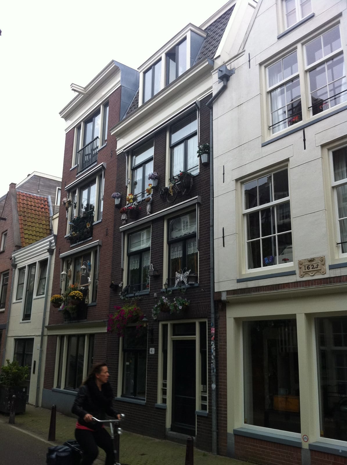 Margo's photo 4