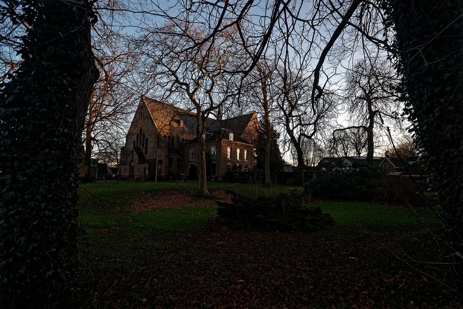 Roos Tearoom photo 2