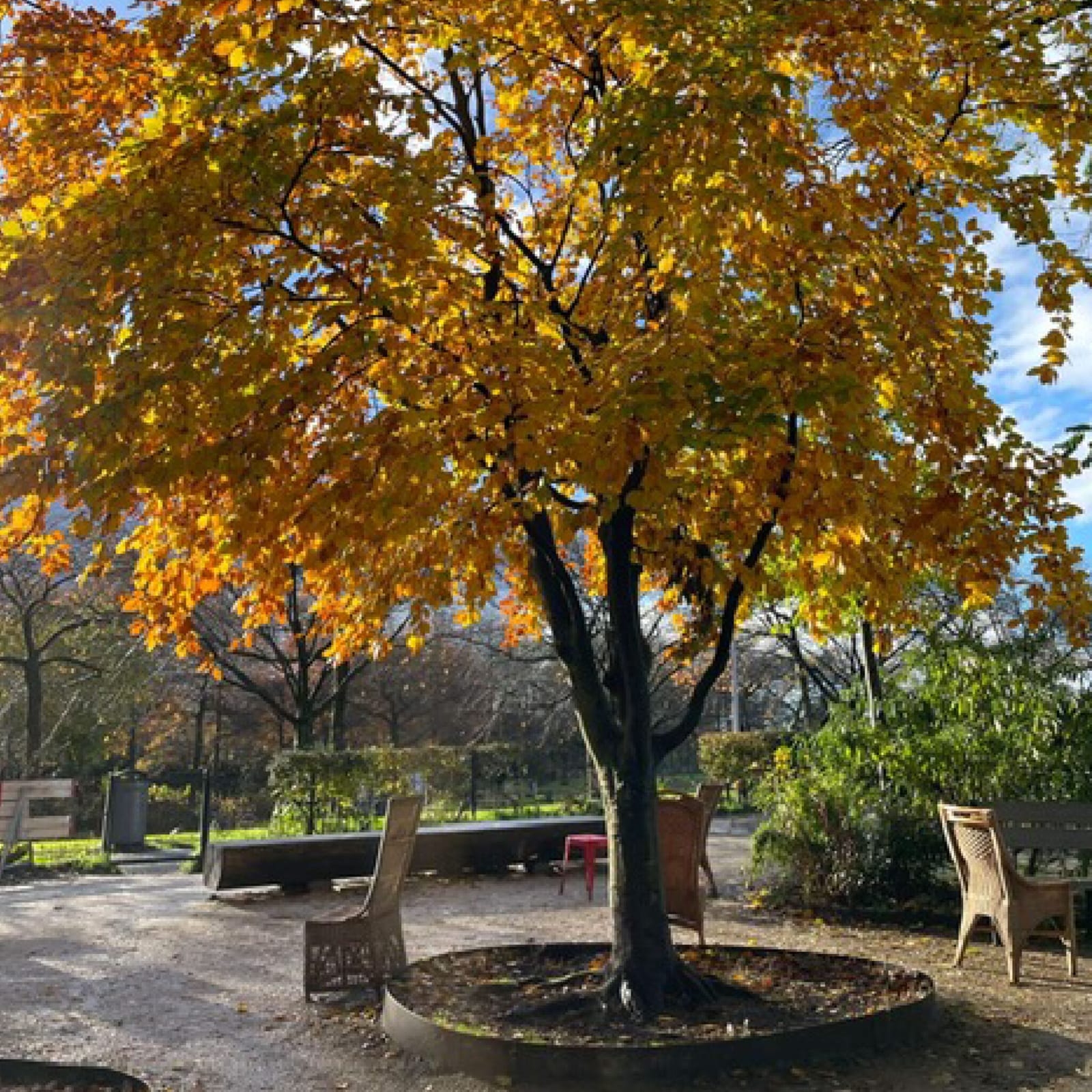 De Parkwachter photo 4