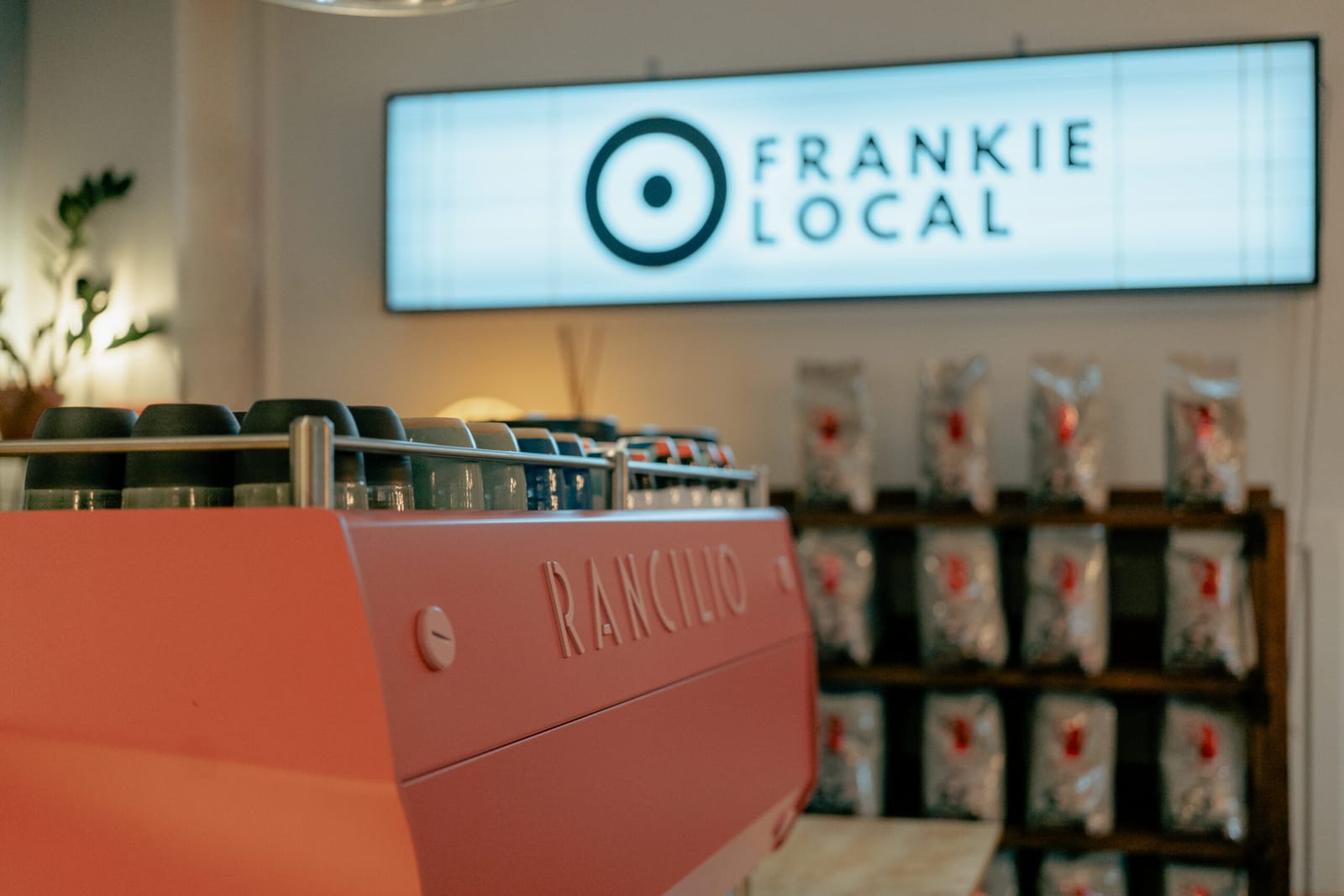 Frankie Local photo 2