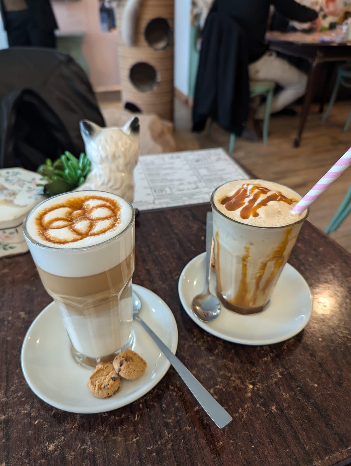 Kattencafe Skatjes