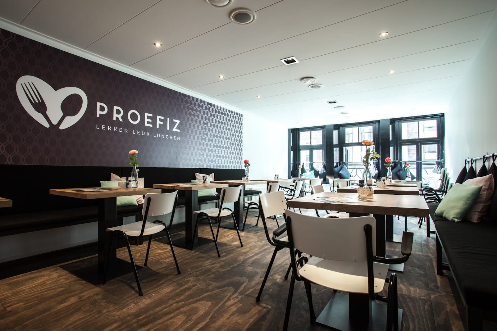 Proefiz