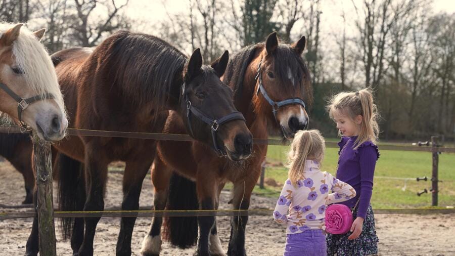 De Maargies Hoeve photo 8