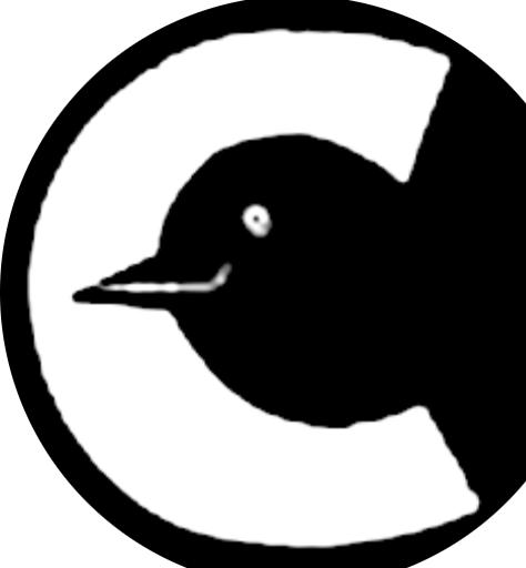 Blackbird photo 4