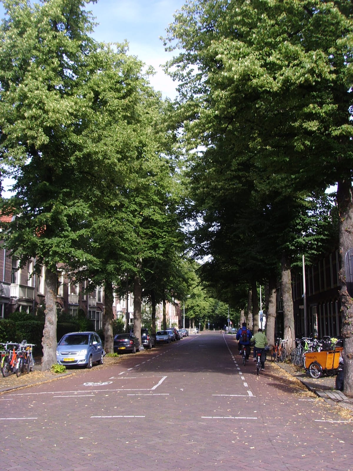 Noen photo 2