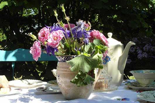 Theetuin De Schapenlaan photo 2