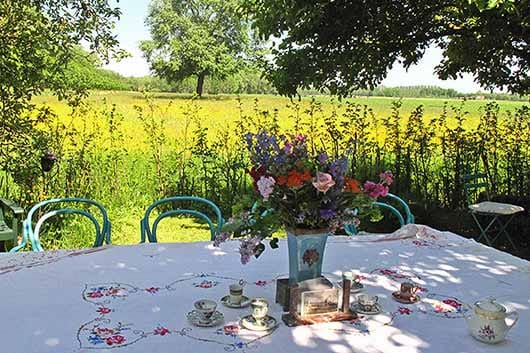 Theetuin De Schapenlaan photo 6