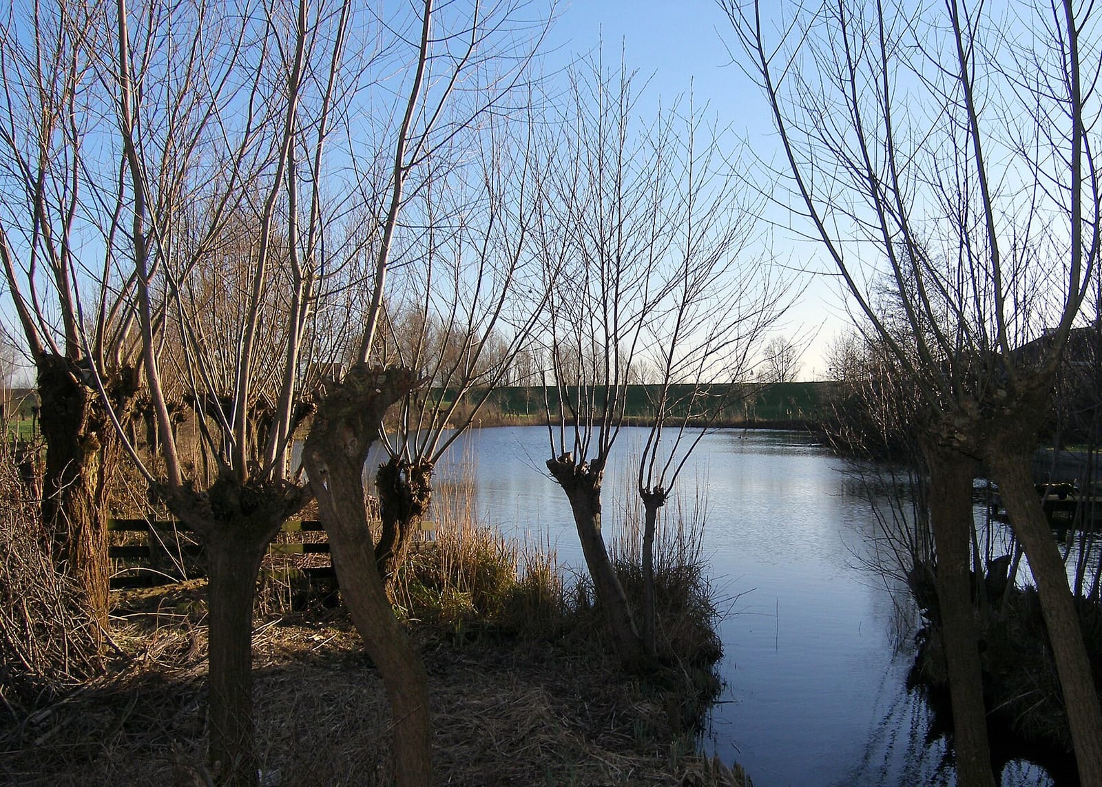 De Wilgensprong photo 4