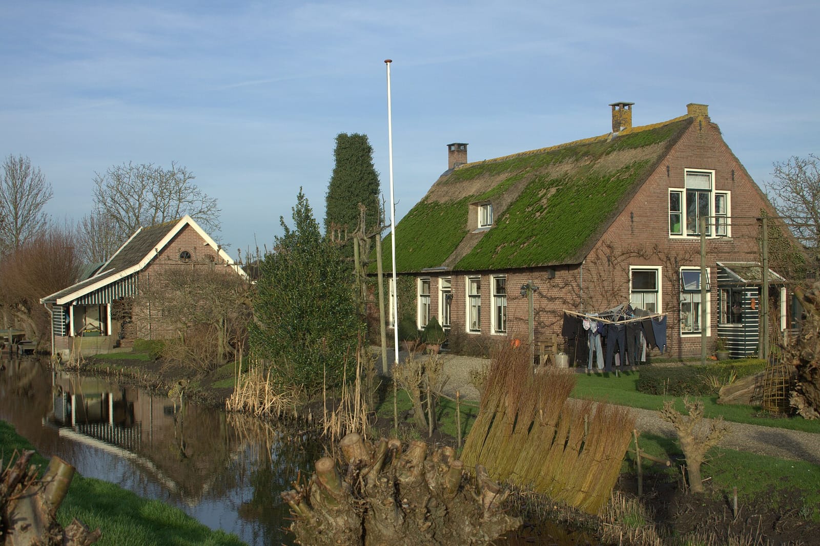 De Wilgensprong