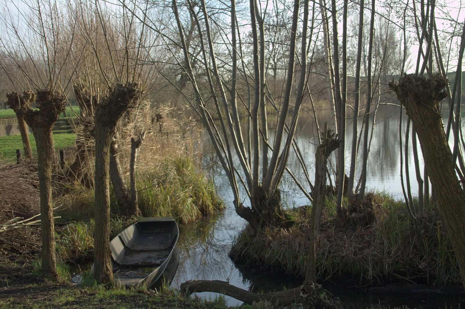 Natuurmuseum en klompenwinkel 'De Wielewaal' photo 2