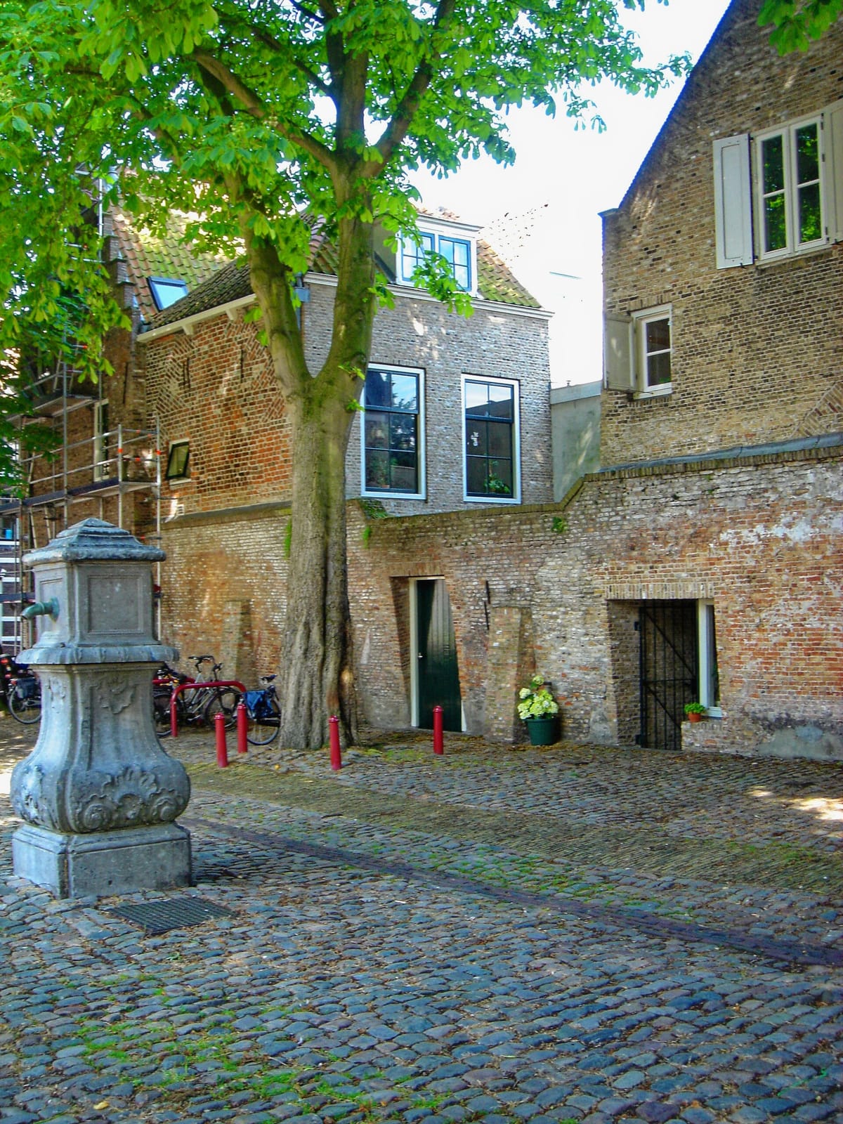 Sint John photo 2