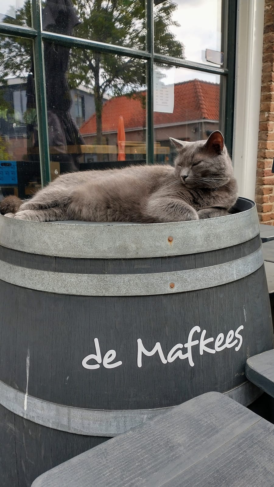 Het Koffiepand