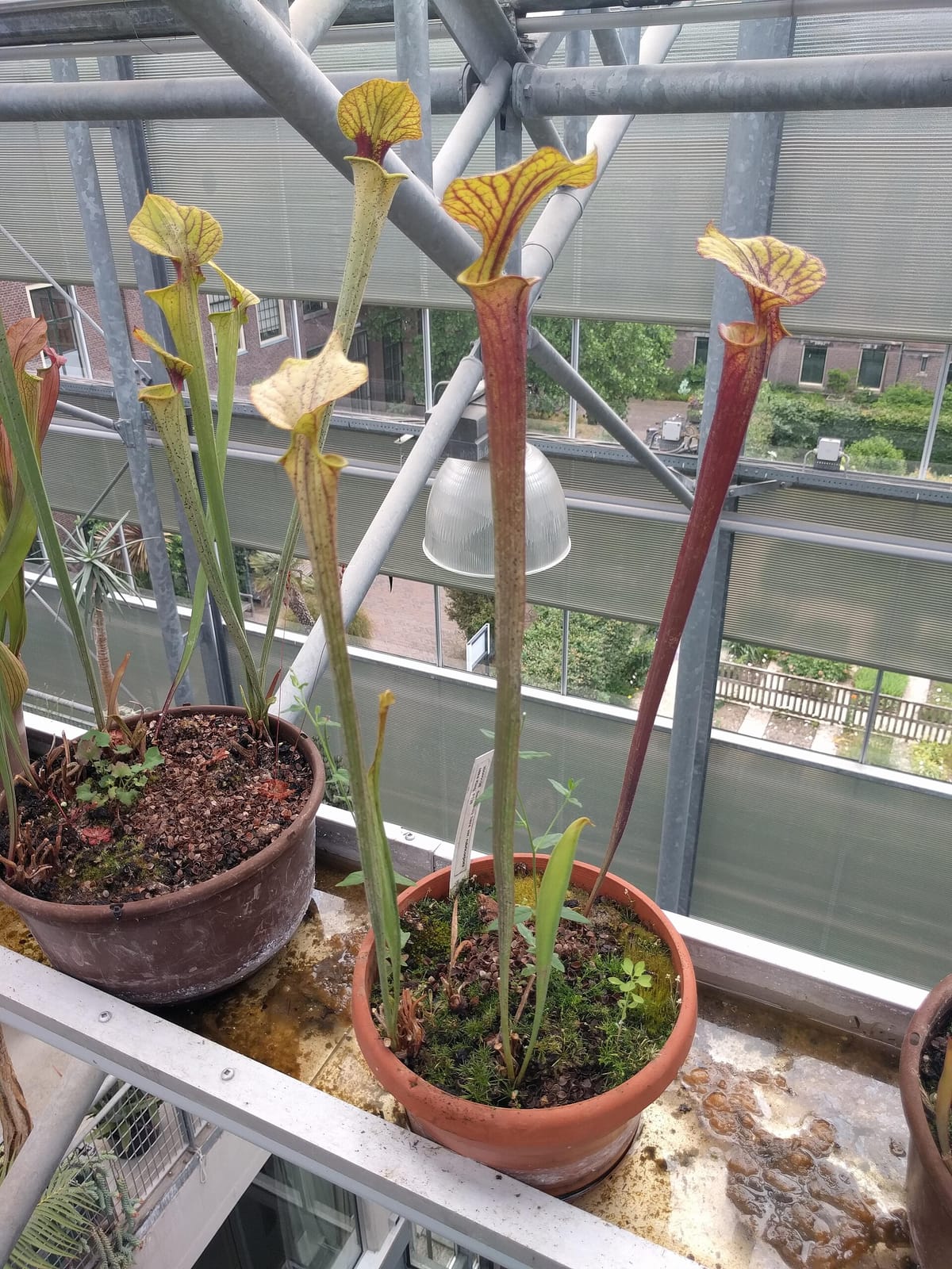 Hortus Grand Café photo 12