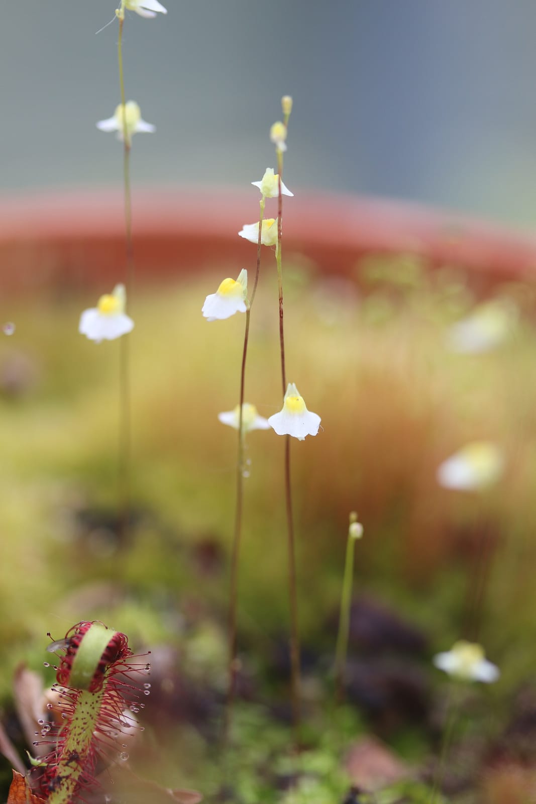 Hortus Grand Café photo 10