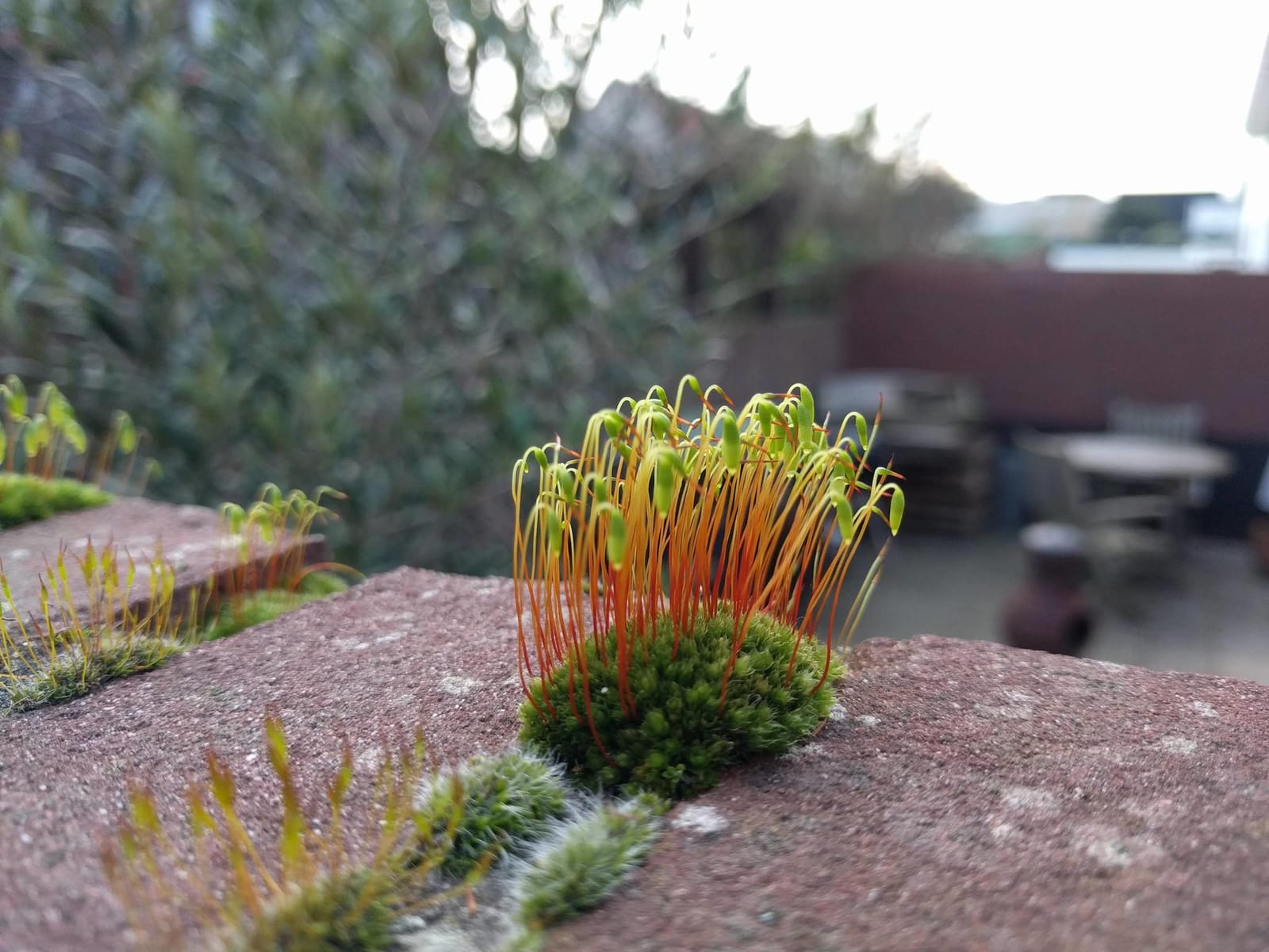 De Punt photo 4