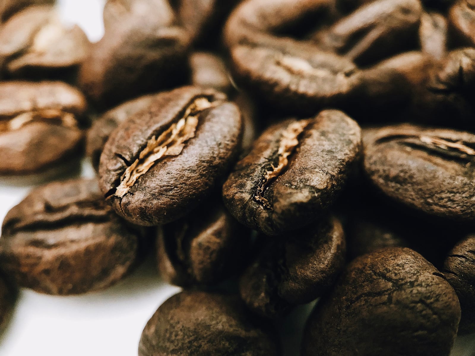 Nostrand Coffee Roasters photo 2