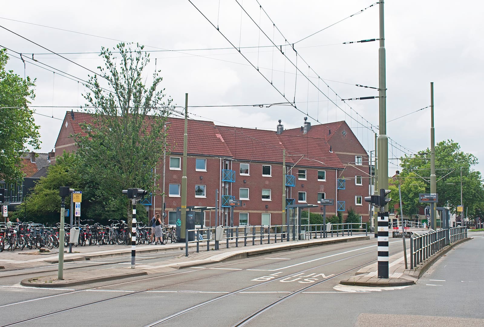 Het Kalf photo 4