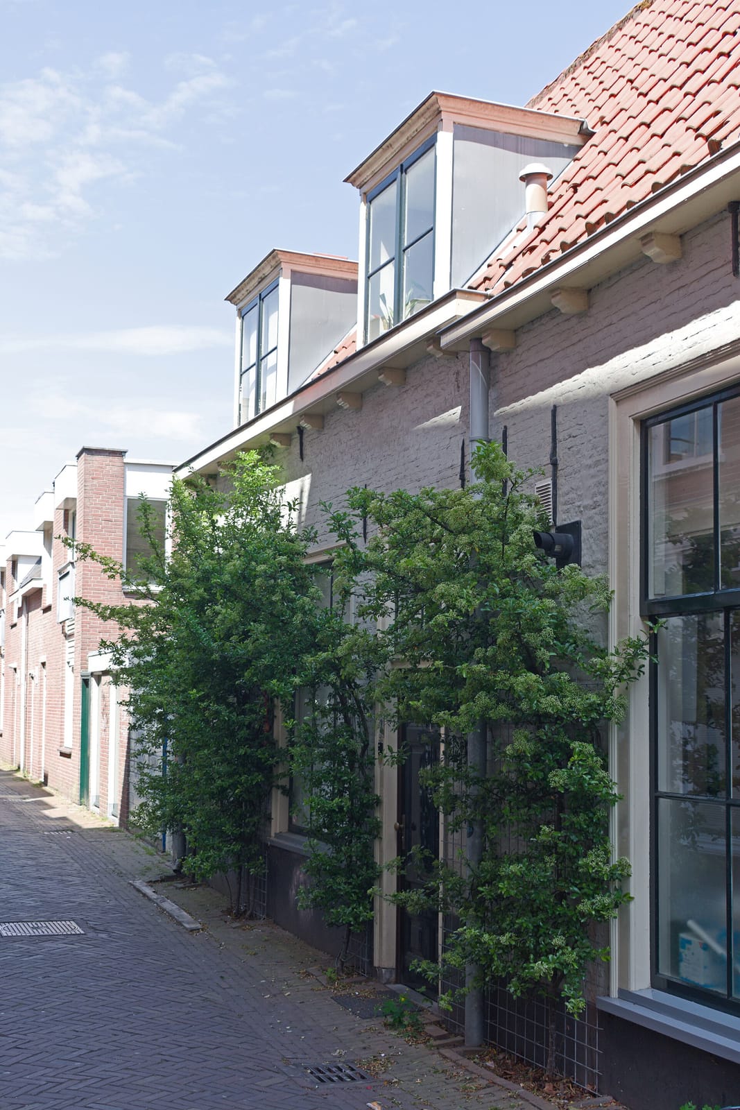 Broodje Delft photo 4