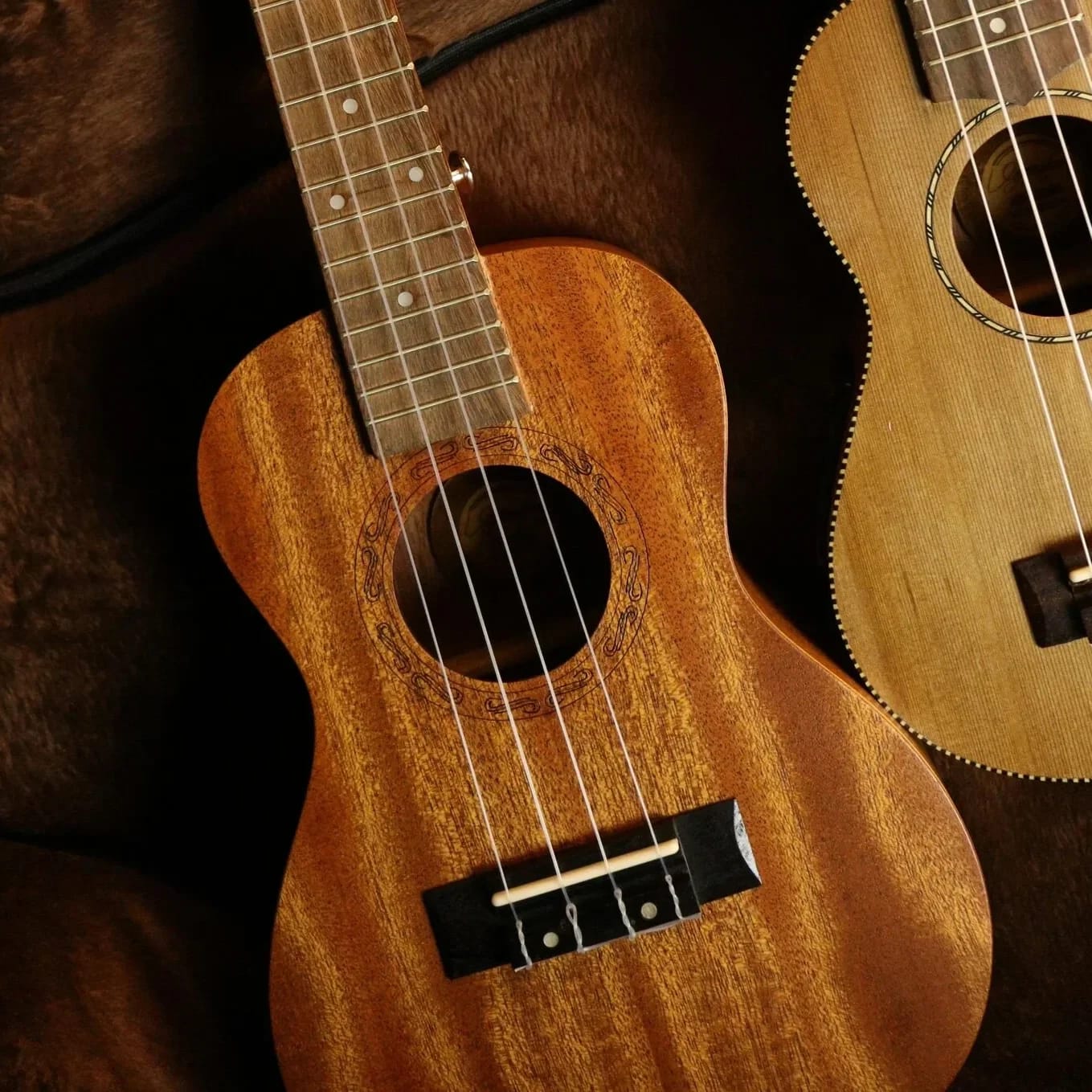 Guitars & Beans photo 8