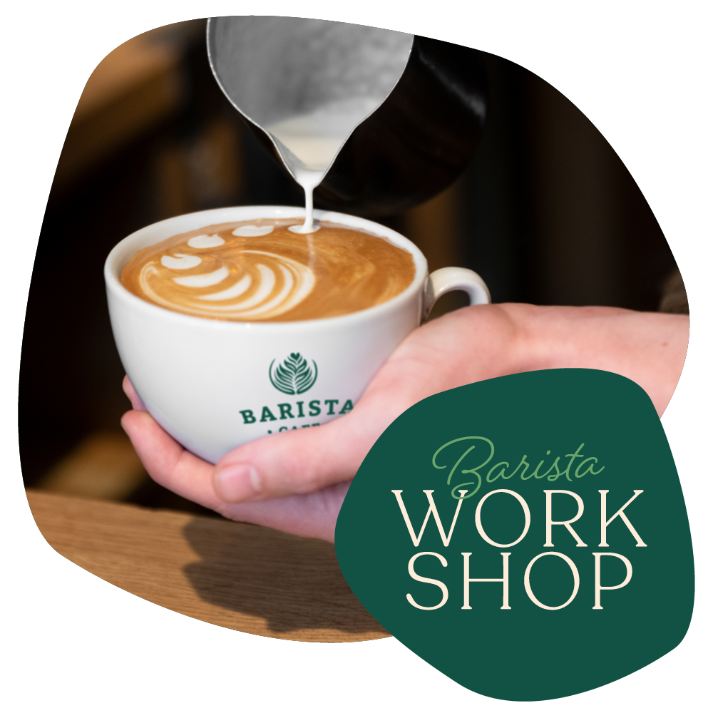 Barista Cafe