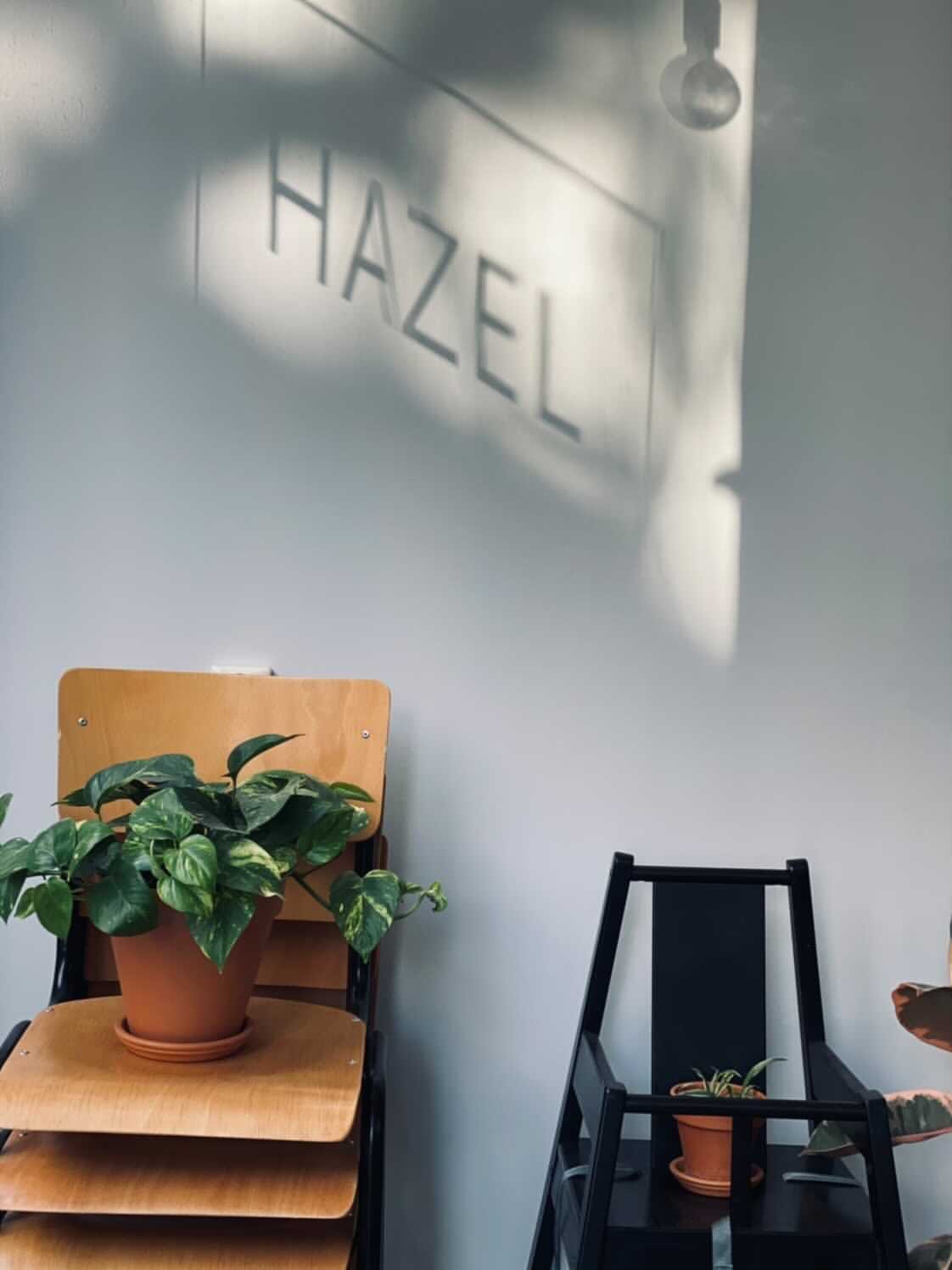 Hazel photo 2