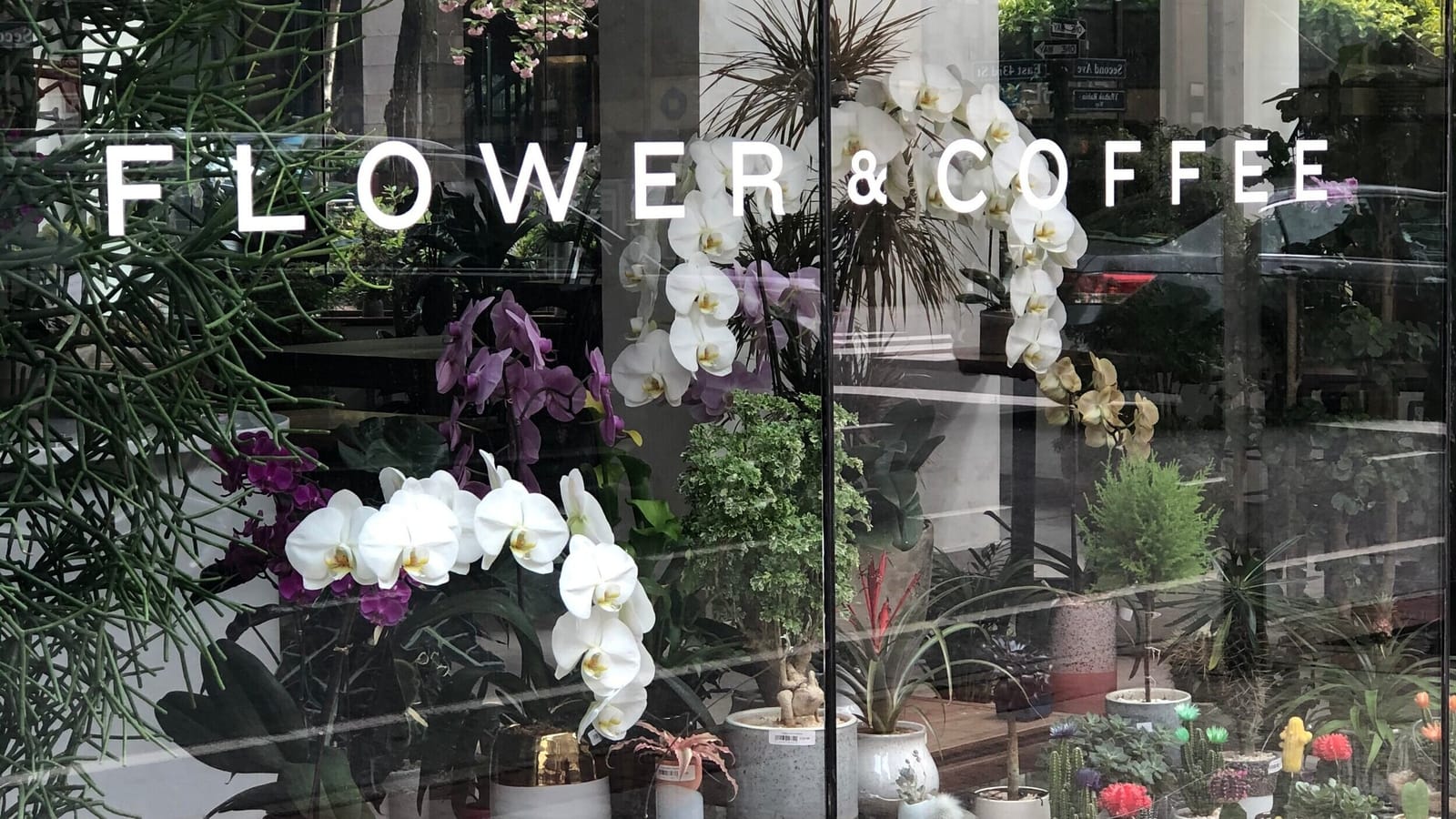 Remi43 Flower & Coffee photo 5