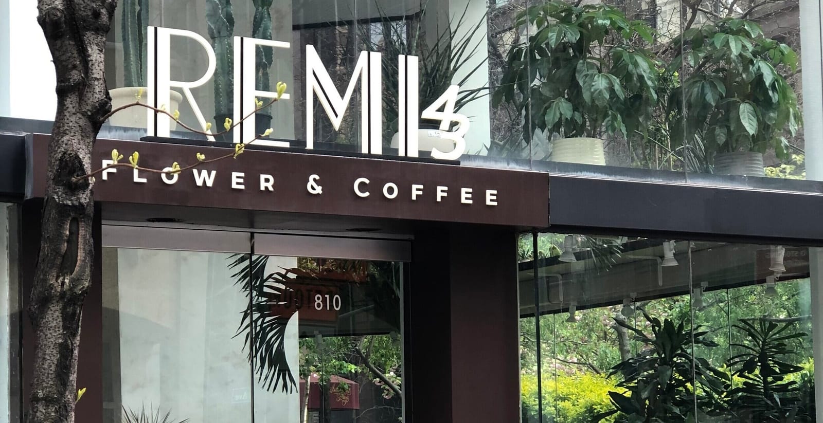 Remi43 Flower & Coffee photo 2