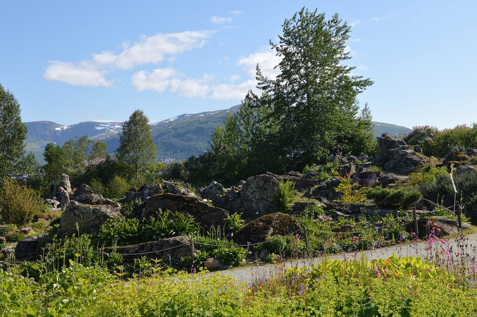 Hansine Hansens kafé photo 2