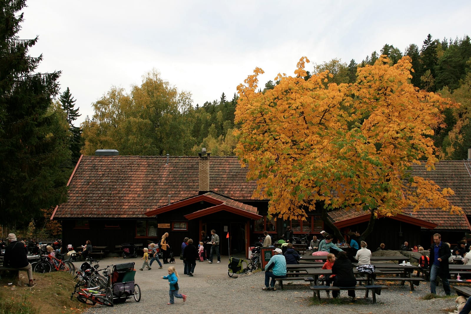 Rustadsaga sportsstue