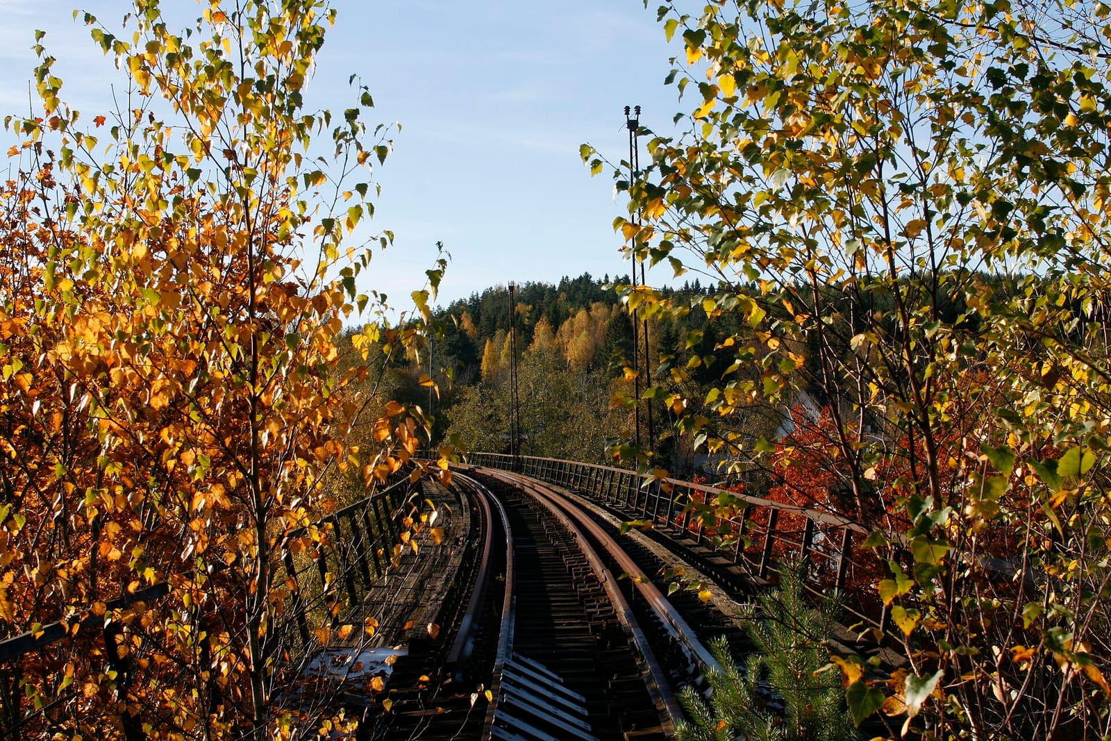 Hølen kafé photo 2