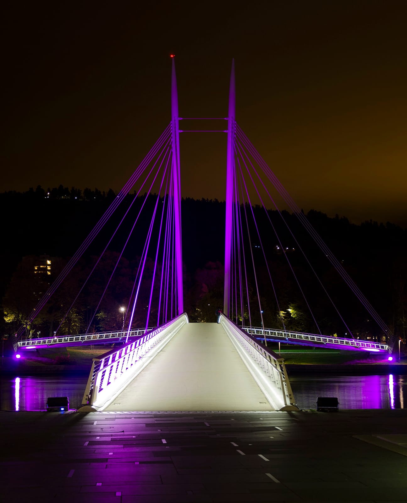 Norli Akademisk photo 3
