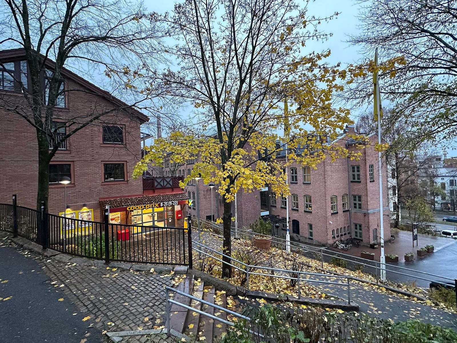 Håndbakt