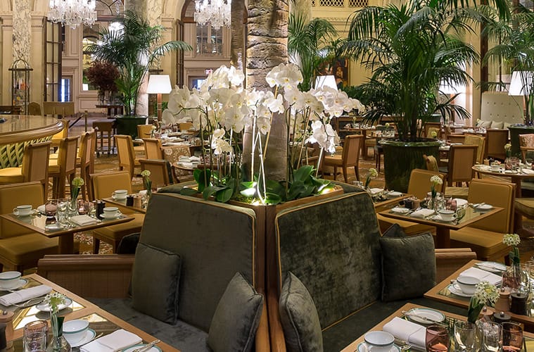 Palm Court photo 2