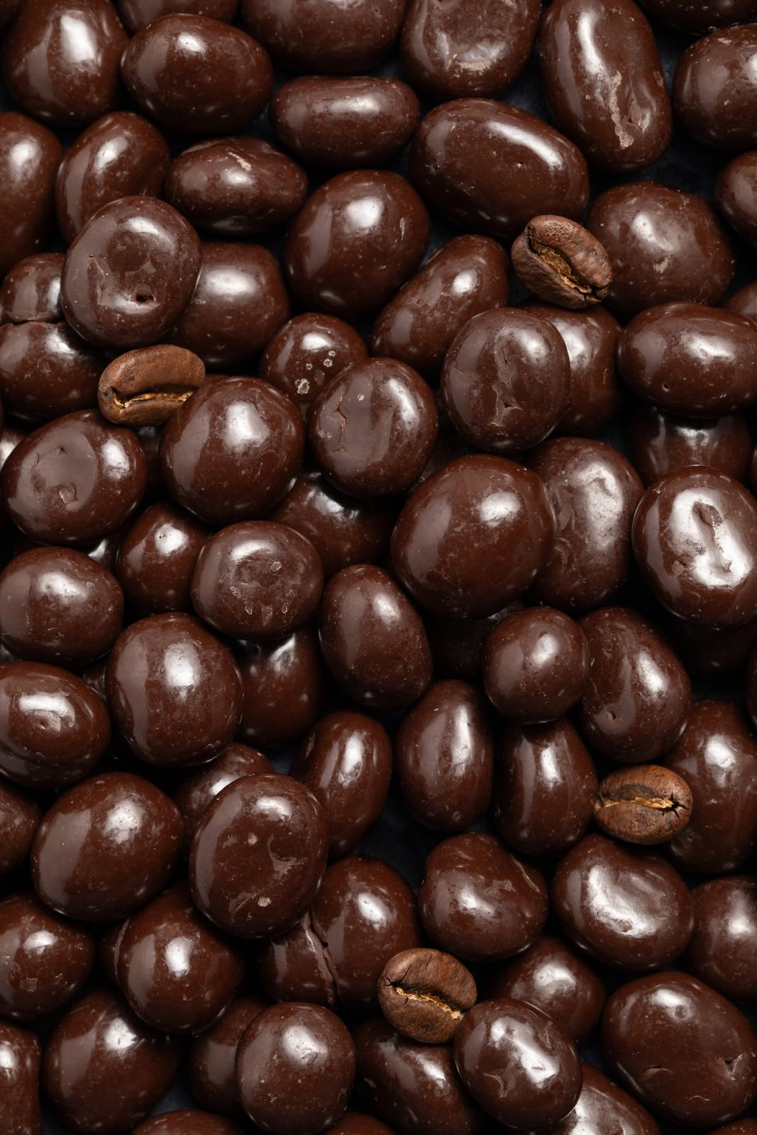 Patagonia Chocolates photo 8