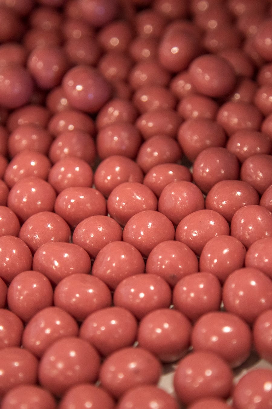 Patagonia Chocolates photo 5