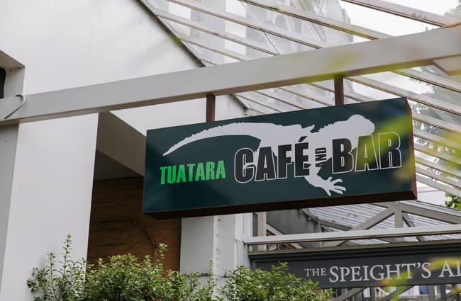 Tuatara photo 2